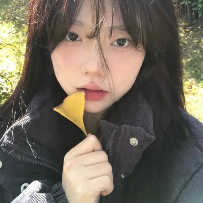 闪亮的日子第二季